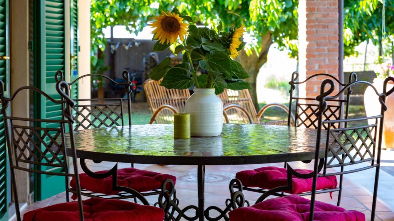 Agriturismo Salcino Grosseto Buitenkant foto