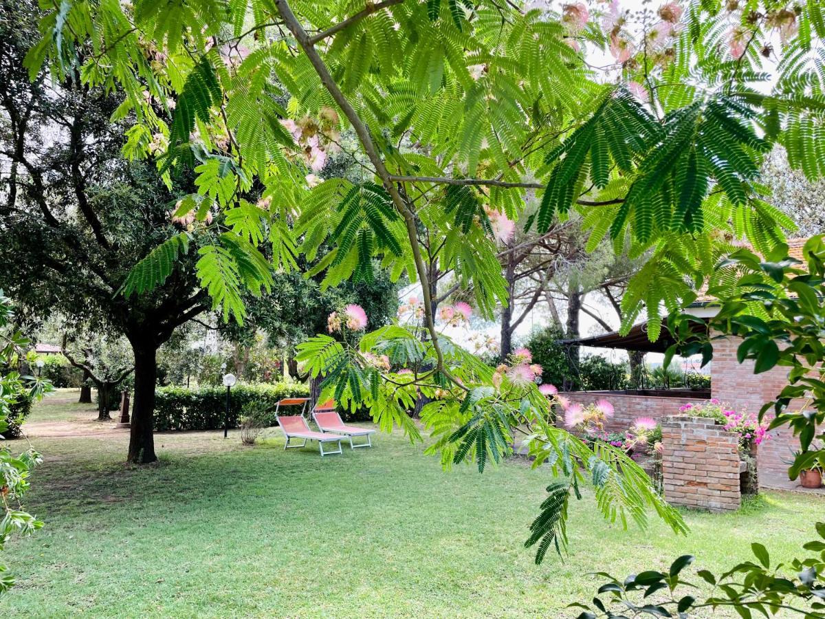 Agriturismo Salcino Grosseto Buitenkant foto