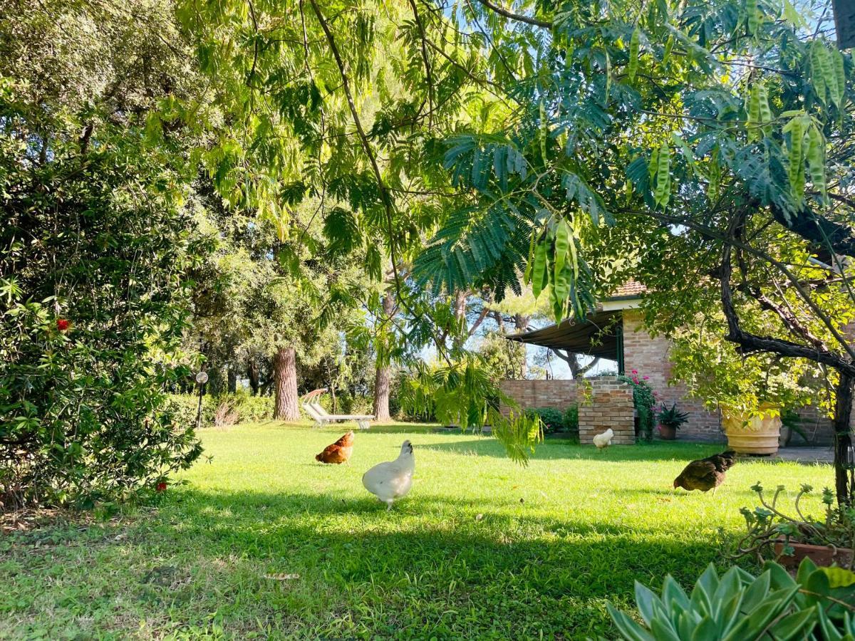 Agriturismo Salcino Grosseto Buitenkant foto