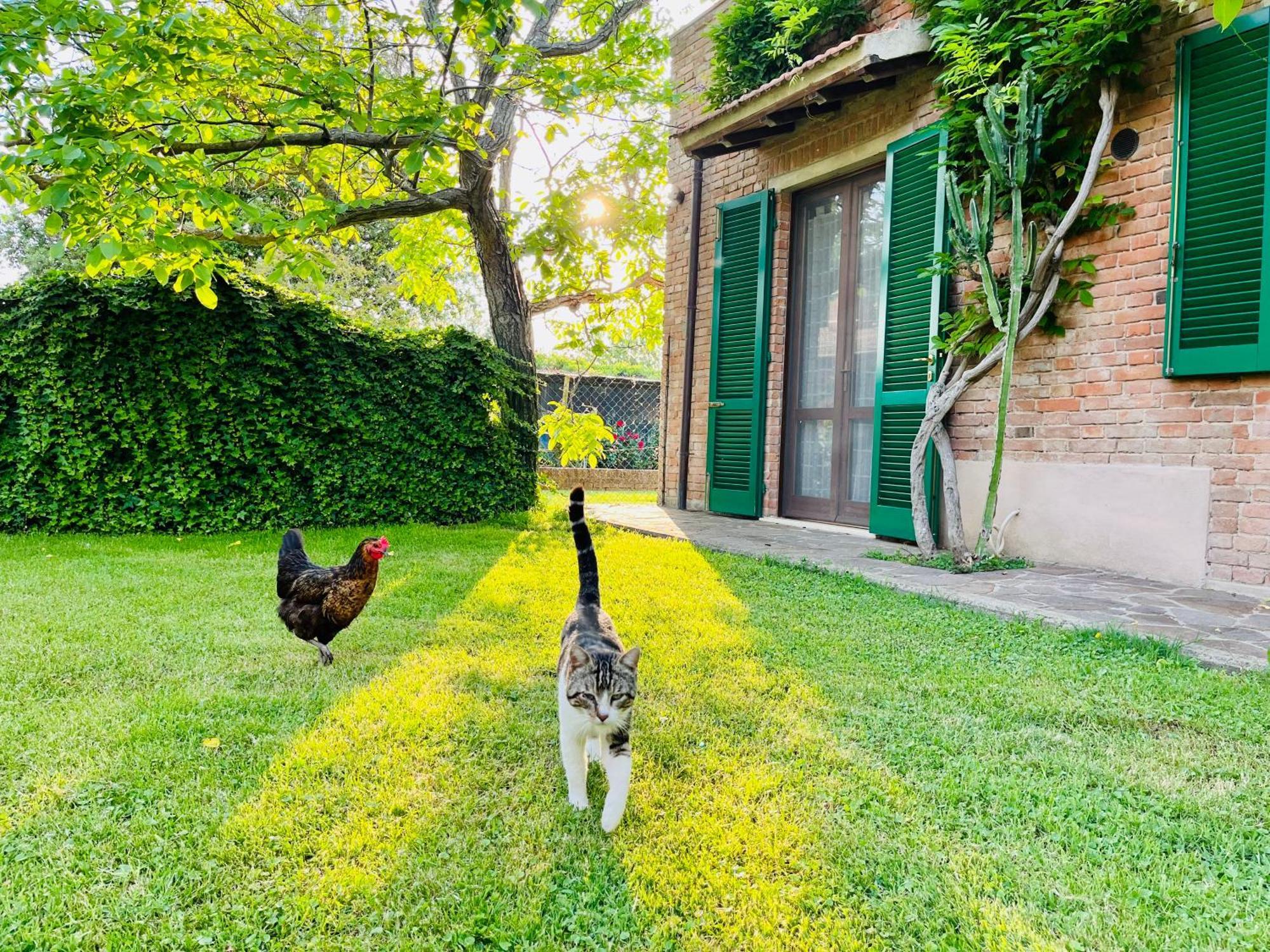 Agriturismo Salcino Grosseto Buitenkant foto
