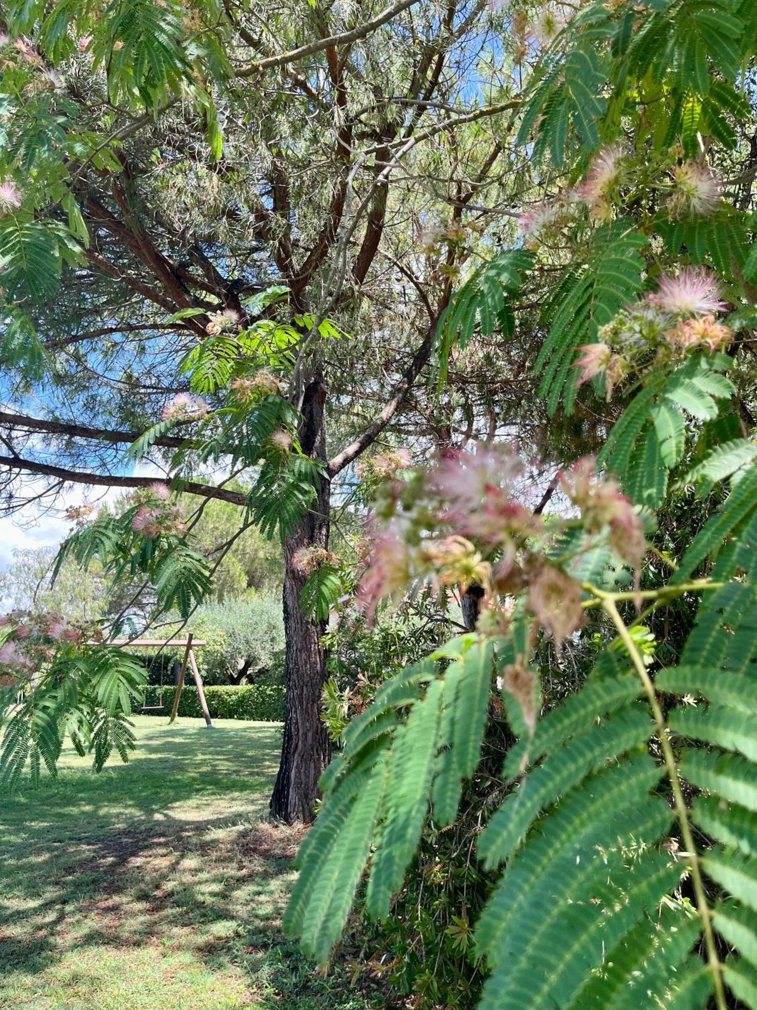 Agriturismo Salcino Grosseto Buitenkant foto